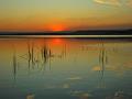 923 - LINES - SARIKAYA HALIL - turkey